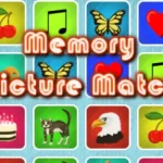 Memory Picture Match